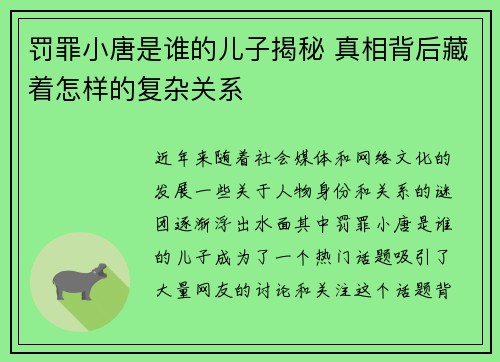 罚罪小唐是谁的儿子揭秘 真相背后藏着怎样的复杂关系